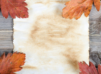 Similar image 787742