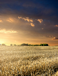 Similar image 787754