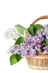 Similar image 787787