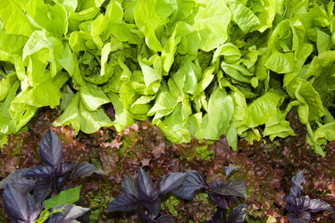 Similar image 787800