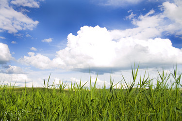 Similar image 787807