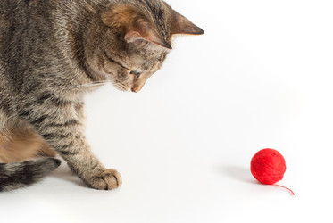 Similar image 787809