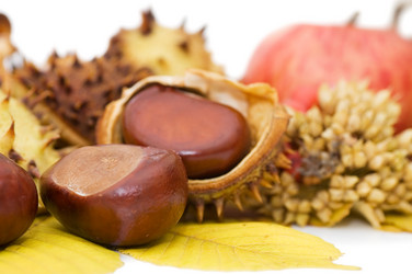 Similar image 787837