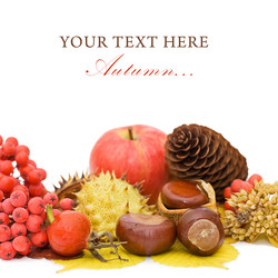 Similar image 787840