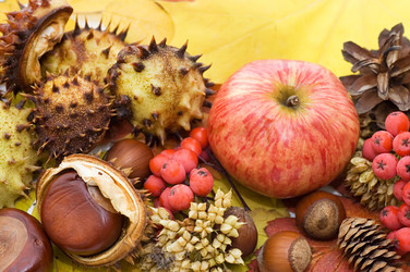 Similar image 787859