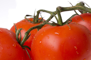 Similar image 787886