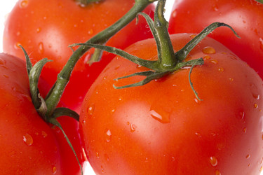 Similar image 787887