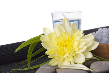 Similar image 787919