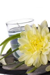 Similar image 787920