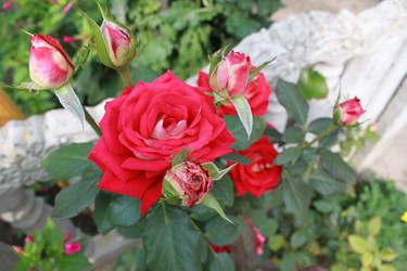 Similar image 787921