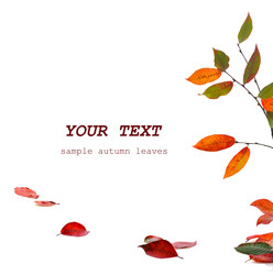 Similar image 787930