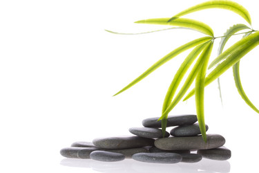 Similar image 787931