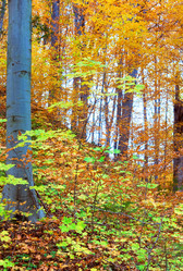 Similar image 787959