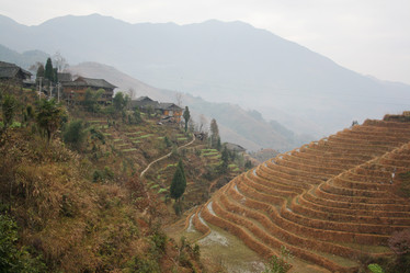 Similar image 788023