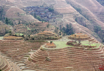 Similar image 788025