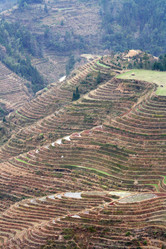 Similar image 788029