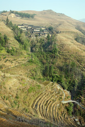 Similar image 788031