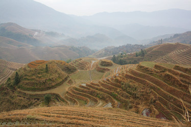 Similar image 788034