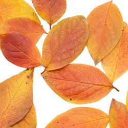 Similar image 788240