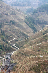 Similar image 788283