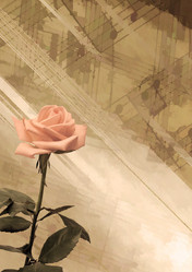 Similar image 788290