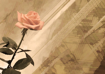 Similar image 788291