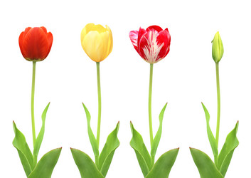 Similar image 788295