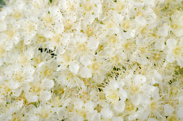 Similar image 788303