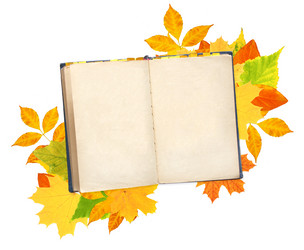 Similar image 788314