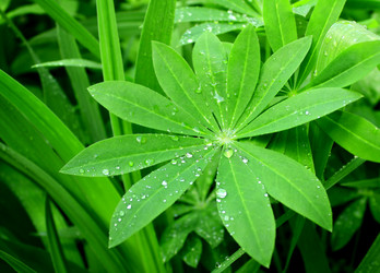 Similar image 788315