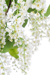 Similar image 788326