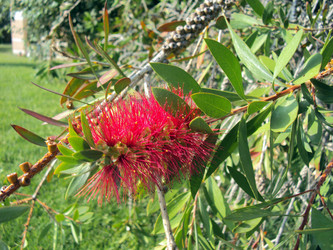 Similar image 788416