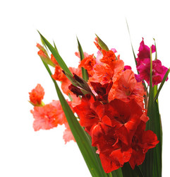 Similar image 788456