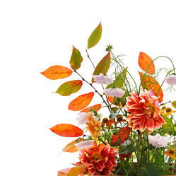 Similar image 788457