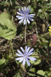 Similar image 788494