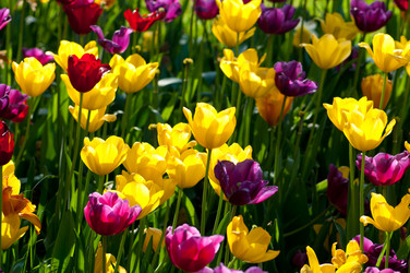 Similar image 788497