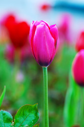 Similar image 788498