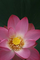 Similar image 788535