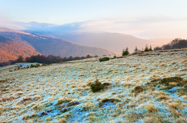 Similar image 788560