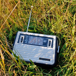 Similar image 788612