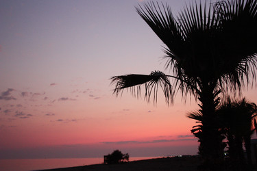 Similar image 788629