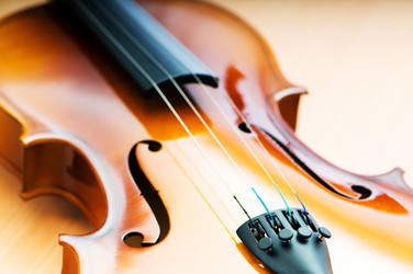 Similar image 788746