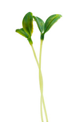 Similar image 788755