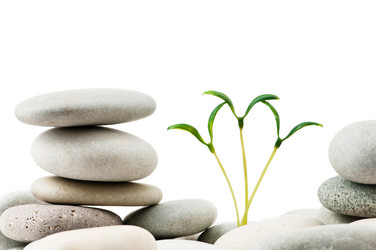 Similar image 788757