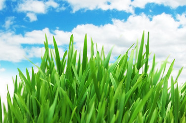 Similar image 788758