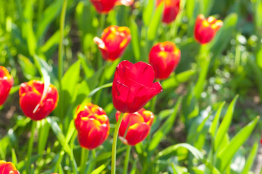 Similar image 788862