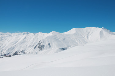 Similar image 788879