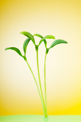 Similar image 789140