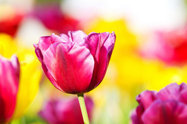 Similar image 789186