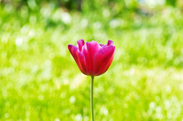 Similar image 789187